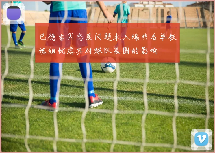 巴德吉因态度问题未入瑞典名单教练组忧虑其对球队氛围的影响